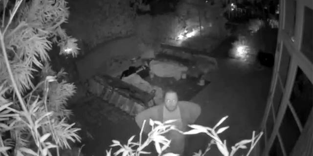 Surveillance video appears to show David DePape looking at a security camera in the backyard of the Pelosi home before the alleged assault on Paul Pelosi in San Francisco Oct. 28, 2022.