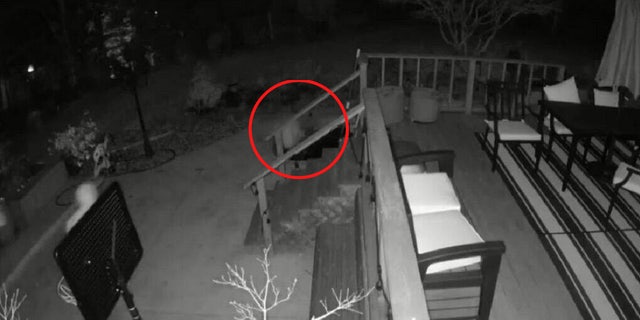 A home burglar in California is seen falling into a small pond just before breaking into the house. 