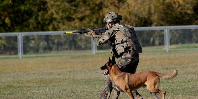 Police dogs have helped soldiers, police officers and other rescuers over the years. 