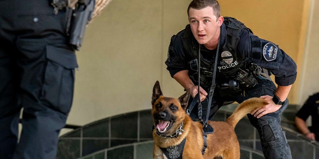 Brea, California, K-9 Officer Matt Wendling gives his Belgian Malinois, Kylo, a command during a K-9 demonstration at the National Night Out in Brea on Aug. 2, 2022.