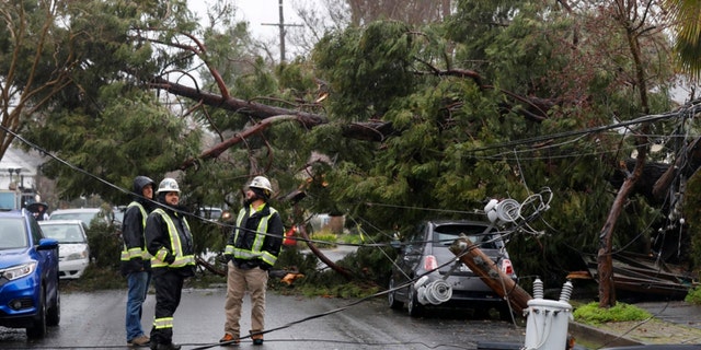 Members of a tree crew take a look at damage to a utility pole after a tree fell across Orchard St. in Santa Rosa, California, Tuesday, March 14, 2023. 