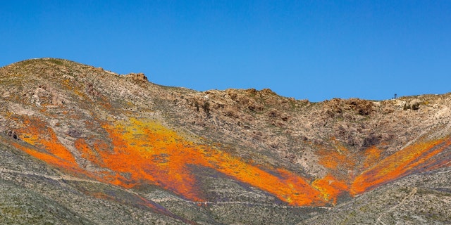 The hillsides above Jawbone Canyon in Mojave, Calif.