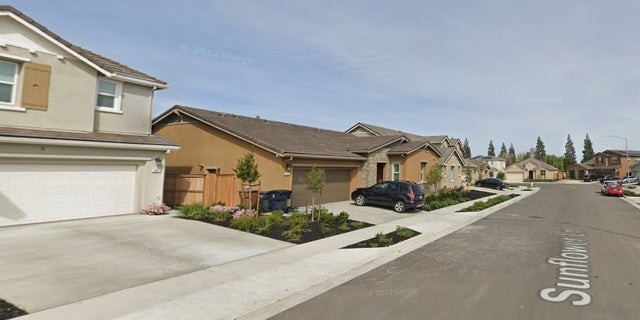 Tracy-California-Sunflower-lane-street-view