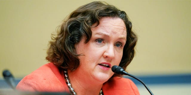 Katie Porter at hearing