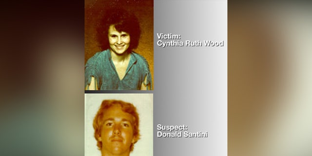 Cynthia Ruth Wood and Donald Michael Santini