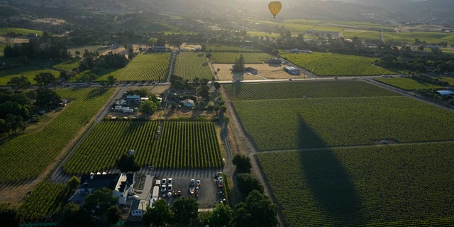 vineyards in Napa Valley 