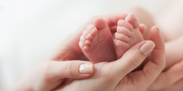 baby feet in mother's hands