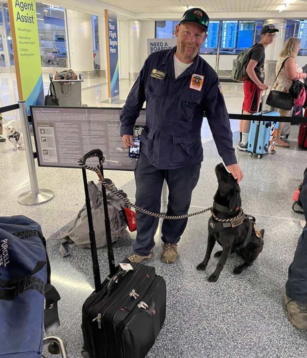 Retired firefighter Eric Darling and Mazie, a six-and-a-half-year-old Black Lab, has seen numerous deployments throughout her career, including the 2022 mudslide in Forest Falls and the North Complex fire in Butte County in 2020. (Courtesy of OCFA)