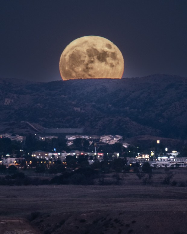 A blue supermoon rises above Yucaipa on Wednesday, August 30, 2023.  It was the second full moon of August, thus the blue label. And it was unusually close to Earth, therefore a supermoon. The next blue supermoon isn't until 2037. But another regular supermoon is on the horizon at the end of September, the last one of the year.  (Photo by Charles L Convis)