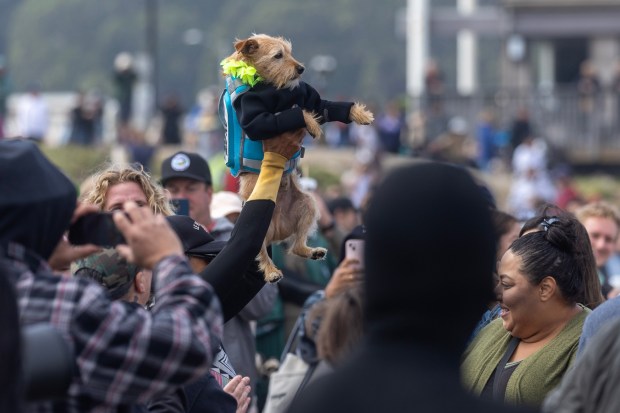 Jill Nakano hoists her dog Carson, complete in a wetsuit, as they march through the crowd to compete in the World Dog Surfing Championships on Saturday, Aug. 5, 2023, at Linda Mar Beach in Pacifica, Calif. (Karl Mondon/Bay Area News Group)