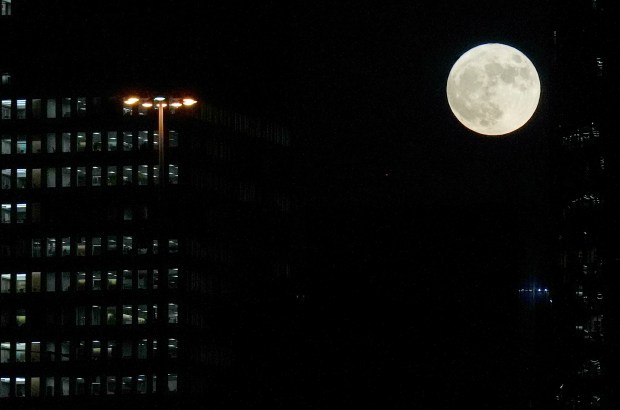 A super blue moon rises over downtown Houston on the Buffalo Bayou Trail on Wednesday, Aug. 30, 2023 in Houston. (Elizabeth Conley/Houston Chronicle via AP)