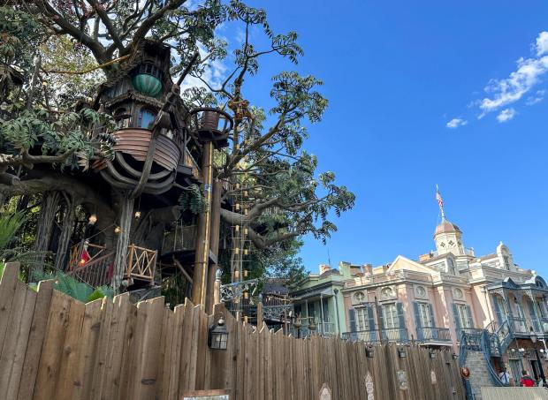 Scaffolding is going down from The Adventureland Treehouse - a redesigned Tarzan's Treehouse at Disneyland in Anaheim, CA, on Wednesday, August 16, 2023. (Photo by Jeff Gritchen, Orange County Register/SCNG)