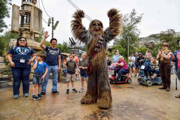 Chewbacca welcomes visitors to Black Spire Outpost during the first day without needing a reservation at Star Wars: Galaxy's Edge inside Disneyland in Anaheim, CA, on June 24, 2019. (Photo by Jeff Gritchen, Orange County Register/SCNG)