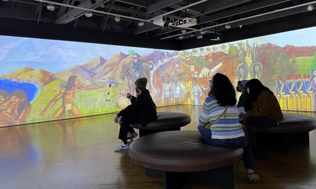 The Museum of Latin American Art in Long Beach has free admission on Sundays. (Photo by David Allen, Inland Valley Daily Bulletin/SCNG)