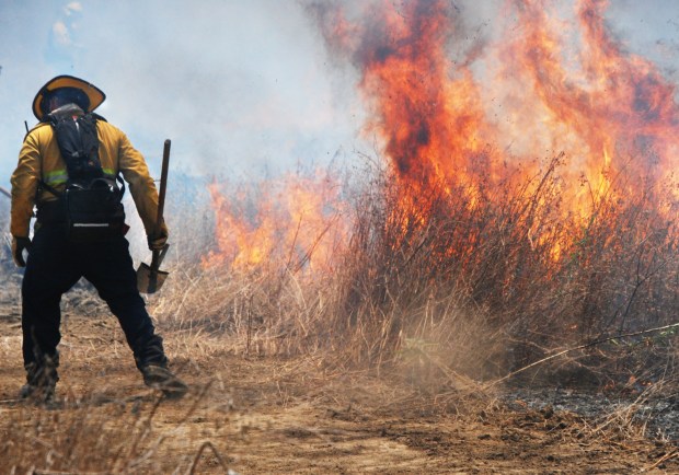 As temperatures climbed into the 90s, a Los Angeles firefighter works on a brush fire after a bulldozer cut a line around the blaze on Wednesday, July 24, 2024, in the San Fernando Valley's Sepulveda Basin, an area that sees many similar fires. It took firefighters about two hours to extinguish Wednesday's fire. (Photo by Mike Meadows/Contributing Photographer)