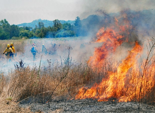 As temperatures climbed into the 90s, Los Angeles firefighters cut a line around a blaze on Wednesday, July 24, 2024, in the San Fernando Valley's Sepulveda Basin, an area that sees many similar fires. (Photo by Mike Meadows/Contributing Photographer)