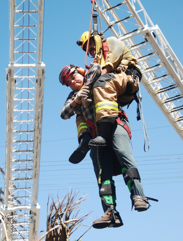 Los Angeles firefighters work on rescuing a tree trimmer whose equipment failed, leaving him stuck in a tree 40 feet off the ground Thursday, Aug. 22, 2024, on the 11900 block of Hart Street in North Hollywood. (Photo by Mike Meadows/Contributing Photographer)